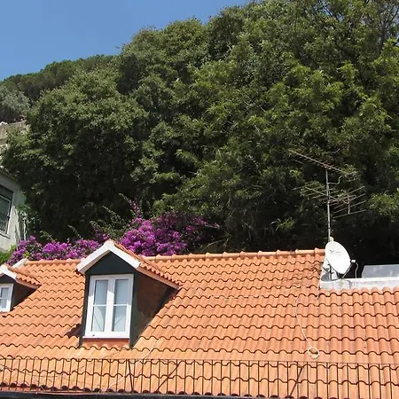 Baixa Castle At Your Feet Διαμέρισμα